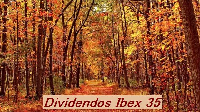 Ibex 35: estos son los próximos dividendos que se repartirán este mes